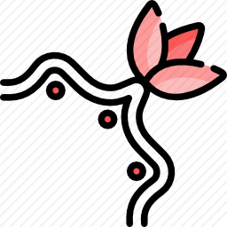花卉装饰设计