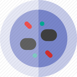 <em>培养皿</em>