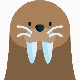 海象