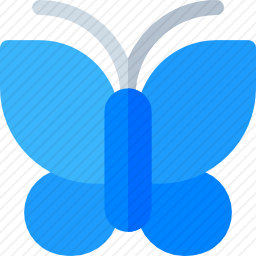 <em>蝴蝶</em>