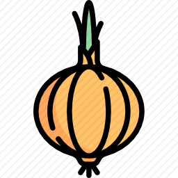<em>洋葱</em>