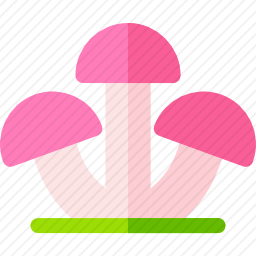 真菌