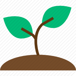植物