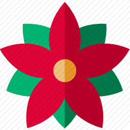 <em>一品红</em>