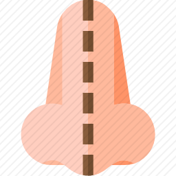 鼻子