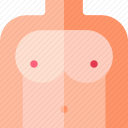 乳房