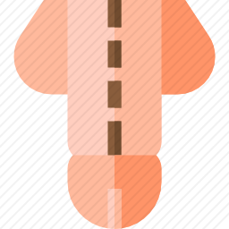 阴茎