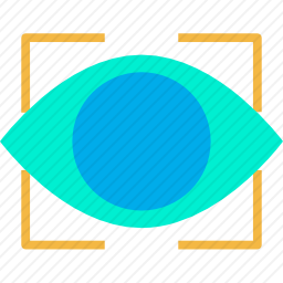 查看