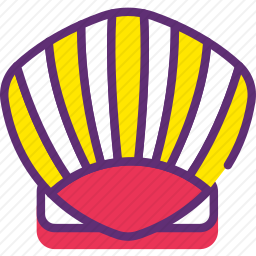 贝壳