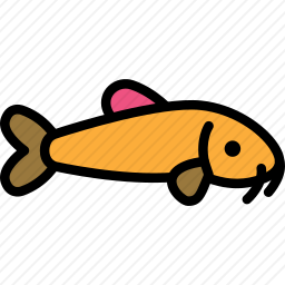 鱼
