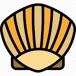 贝壳