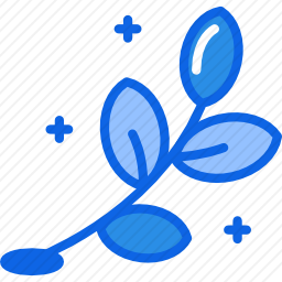 树枝