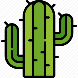 <em>仙人掌</em>
