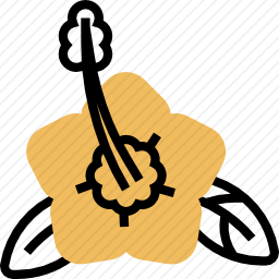 <em>木槿花</em>