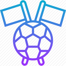 <em>足球</em>