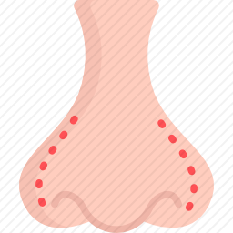 鼻子