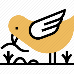 鸟