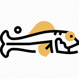 鱼
