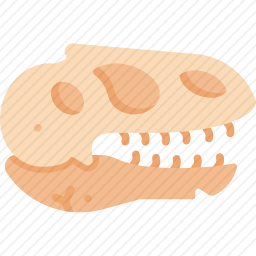 <em>化石</em>
