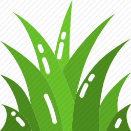 草