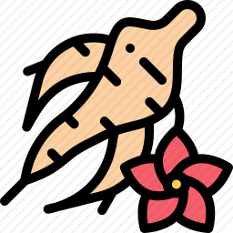 人参