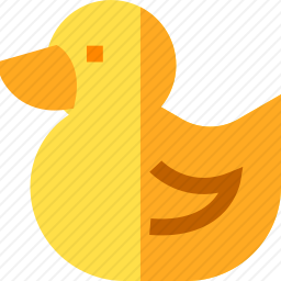 鸭子