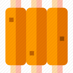<em>排骨</em>