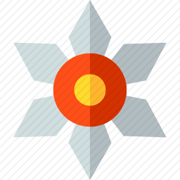 <em>飞镖</em>