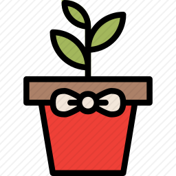 <em>植物</em>