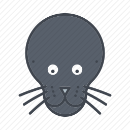 海豹