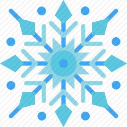 <em>雪花</em>