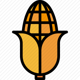<em>玉米</em>