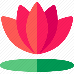 瑜伽