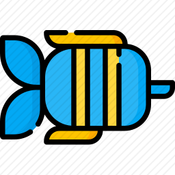 鱼