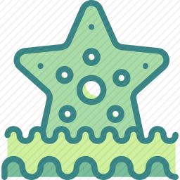 海星
