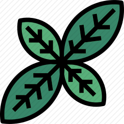 罗勒