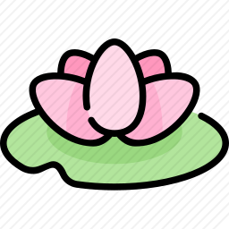 水百合