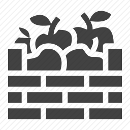 <em>苹果</em>