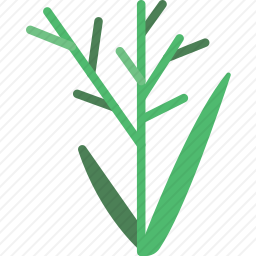 草