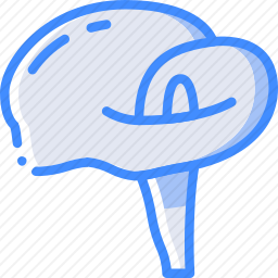 <em>海芋</em>