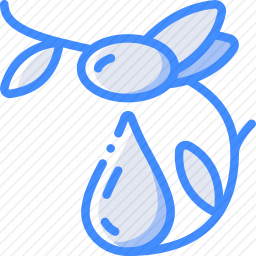 <em>橄榄</em>