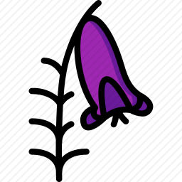 希思