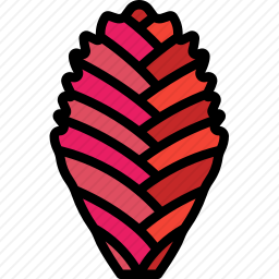 <em>凤梨</em><em>科</em>