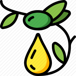<em>橄榄</em>