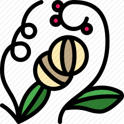 中草药