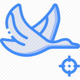 鸭子