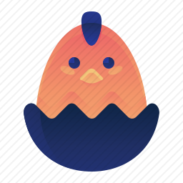 小鸡