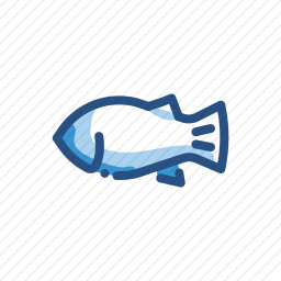 红<em>笛</em>鲷