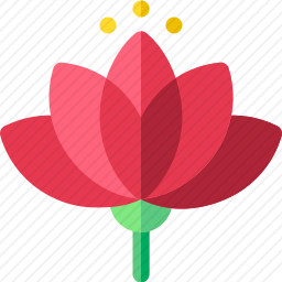 莲花