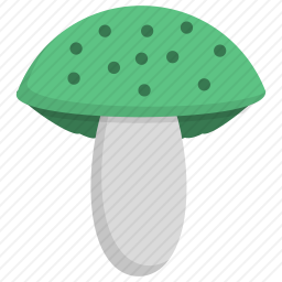 绿菇
